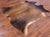 SUPER SALE Light Brown Natural Cowhide Rug - Large 6' 6"H x 6' 2"W