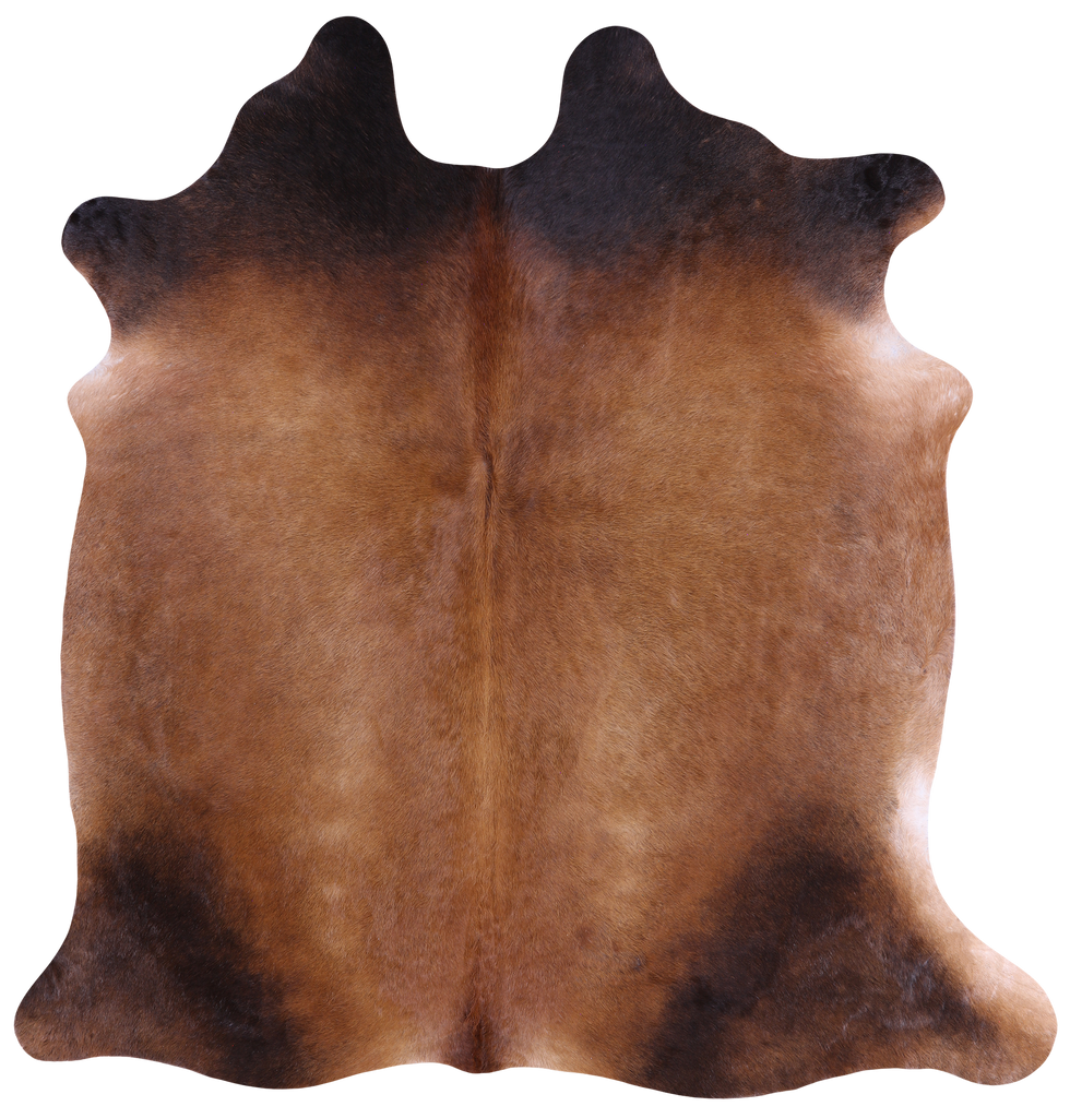 SUPER SALE Light Brown Natural Cowhide Rug - Large 6' 6"H x 6' 2"W