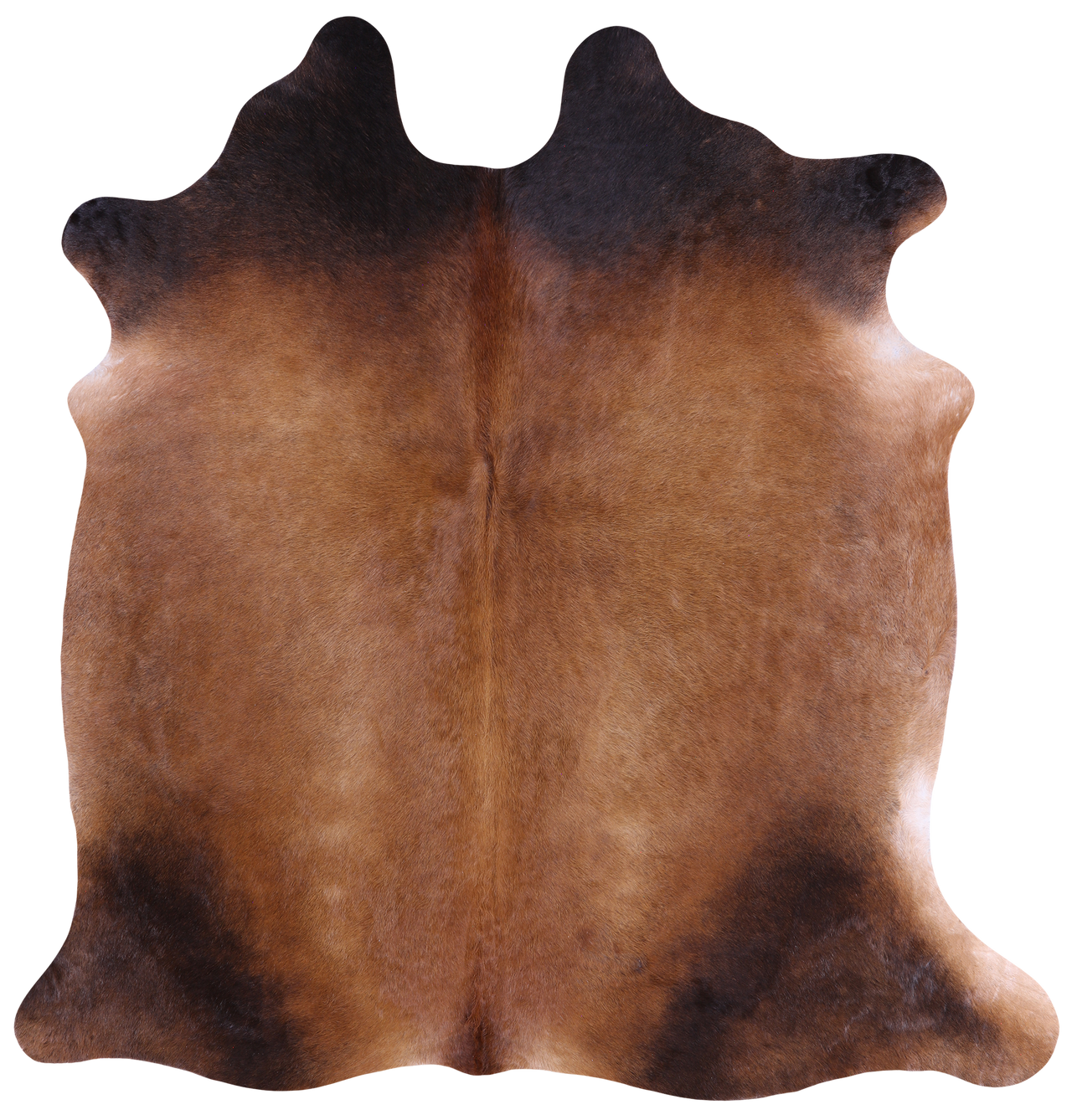 SUPER SALE Light Brown Natural Cowhide Rug - Large 6' 6"H x 6' 2"W