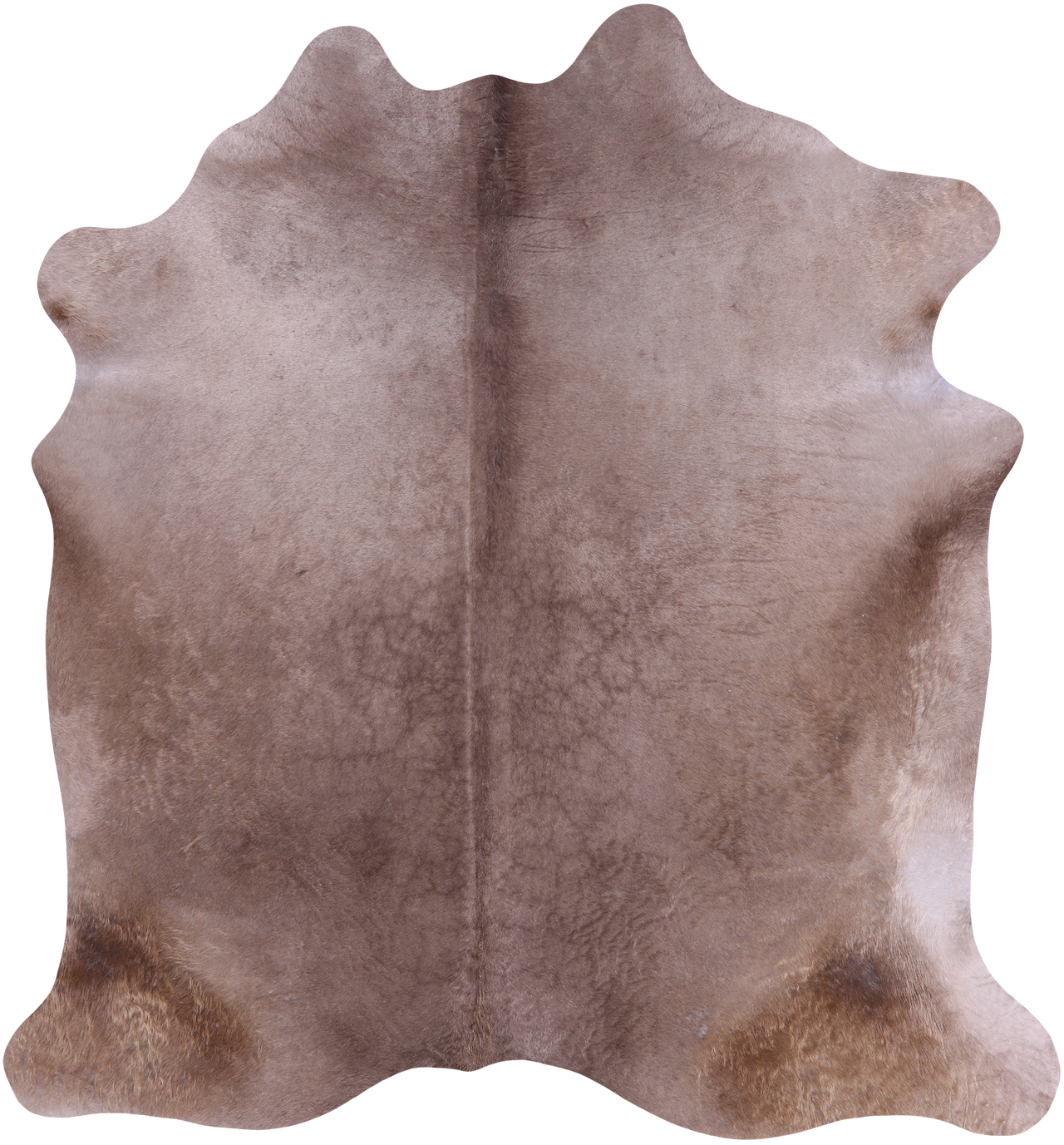 SUPER SALE Champagne Natural Cowhide Rug - X-Large 7' 0"H x 6' 4"W