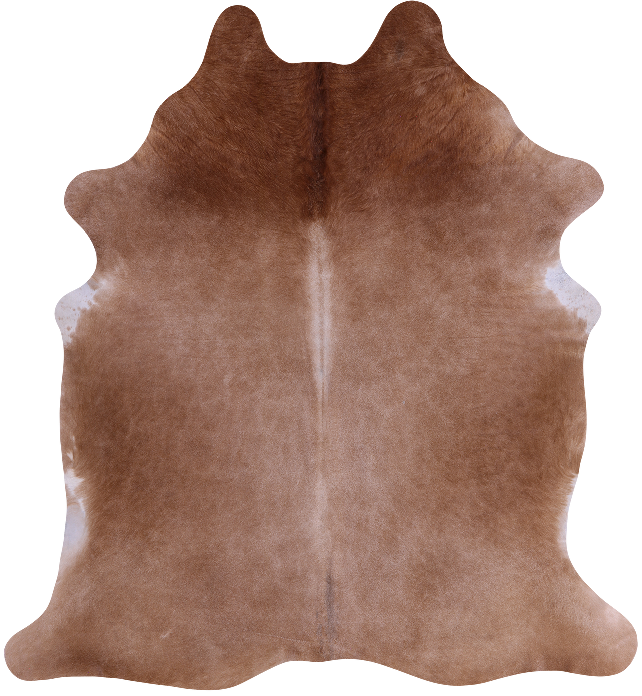 SUPER SALE Light Brown Natural Cowhide Rug - XX-Large 7' 10"H x 6' 10"W