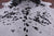 SUPER SALE Black Salt & Pepper Natural Cowhide Rug - XX-Large 7' 5"H x 6' 4"W