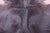SUPER SALE Dark Brown Natural Cowhide Rug - XX-Large 7' 8"H x 7' 0"W