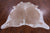 SUPER SALE Beige Natural Cowhide Rug - XX-Large 7' 4"H x 6' 1"W