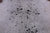 SUPER SALE Black Salt & Pepper Natural Cowhide Rug - XX-Large 7' 4"H x 6' 7"W