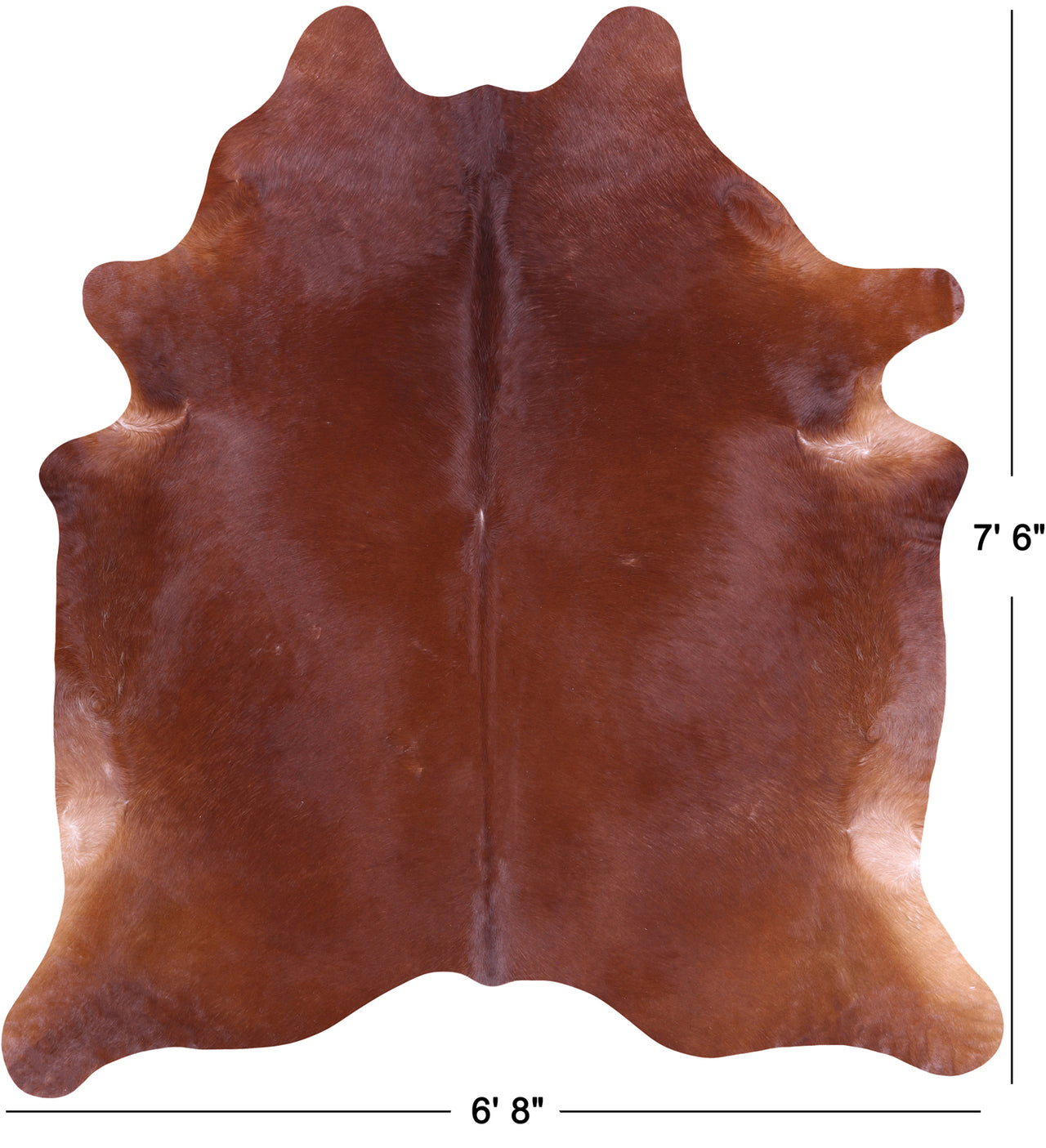SUPER SALE Brown Natural Cowhide Rug - XX-Large 7' 6"H x 6' 8"W