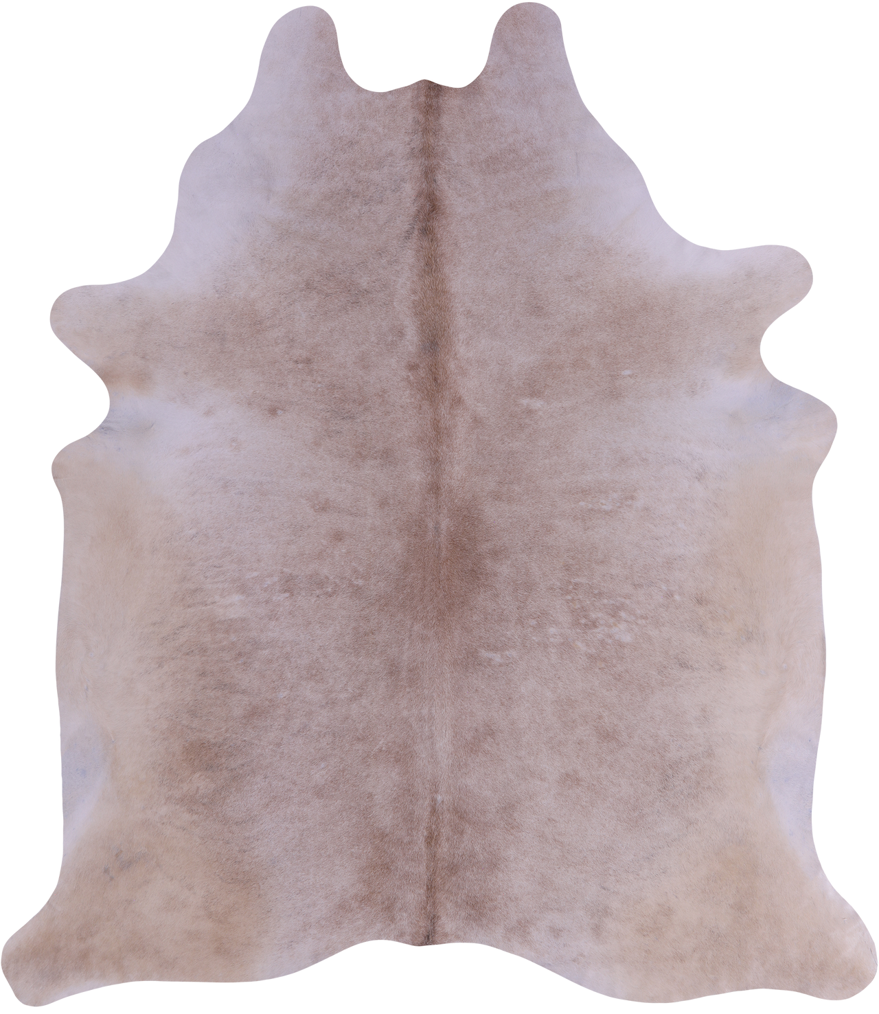 SUPER SALE Beige Natural Cowhide Rug - XX-Large 8' 7"H x 7' 1"W