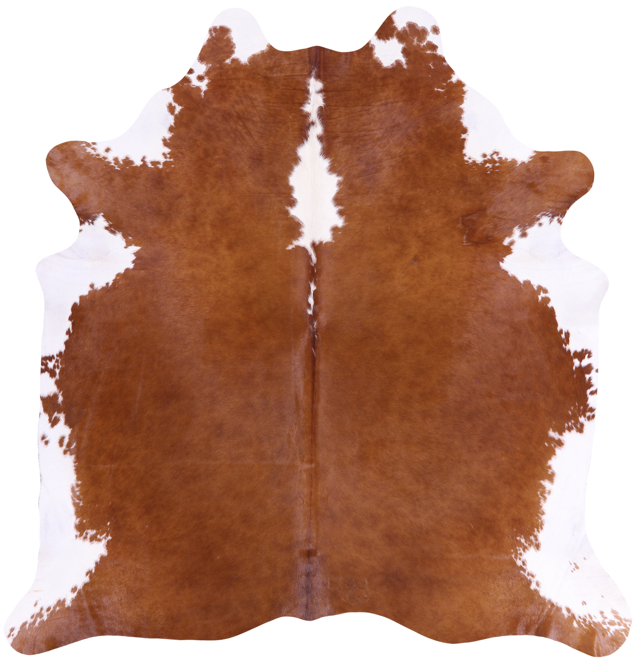 SUPER SALE Brown & White Natural Cowhide Rug - XX-Large 7' 6"H x 7' 2"W