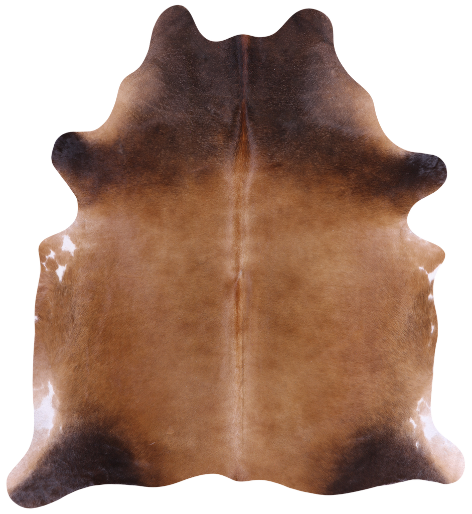 SUPER SALE Light Brown Natural Cowhide Rug - X-Large 7' 0"H x 6' 3"W