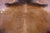 SUPER SALE Light Brown Natural Cowhide Rug - X-Large 7' 0"H x 6' 3"W
