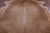 SUPER SALE Light Brown Natural Cowhide Rug - XX-Large 7' 9"H x 6' 9"W