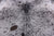 SUPER SALE Brown Salt & Pepper Natural Cowhide Rug - X-Large 7' 3"H x 6' 1"W