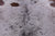 SUPER SALE Brown Salt & Pepper Natural Cowhide Rug - XX-Large 7' 4"H x 6' 4"W