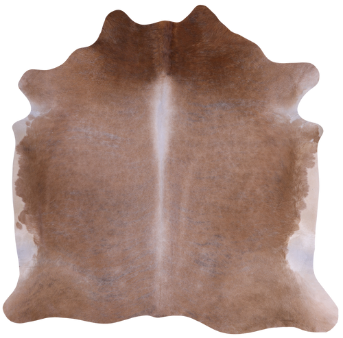 SUPER SALE Light Brown Natural Cowhide Rug - Large 6' 5