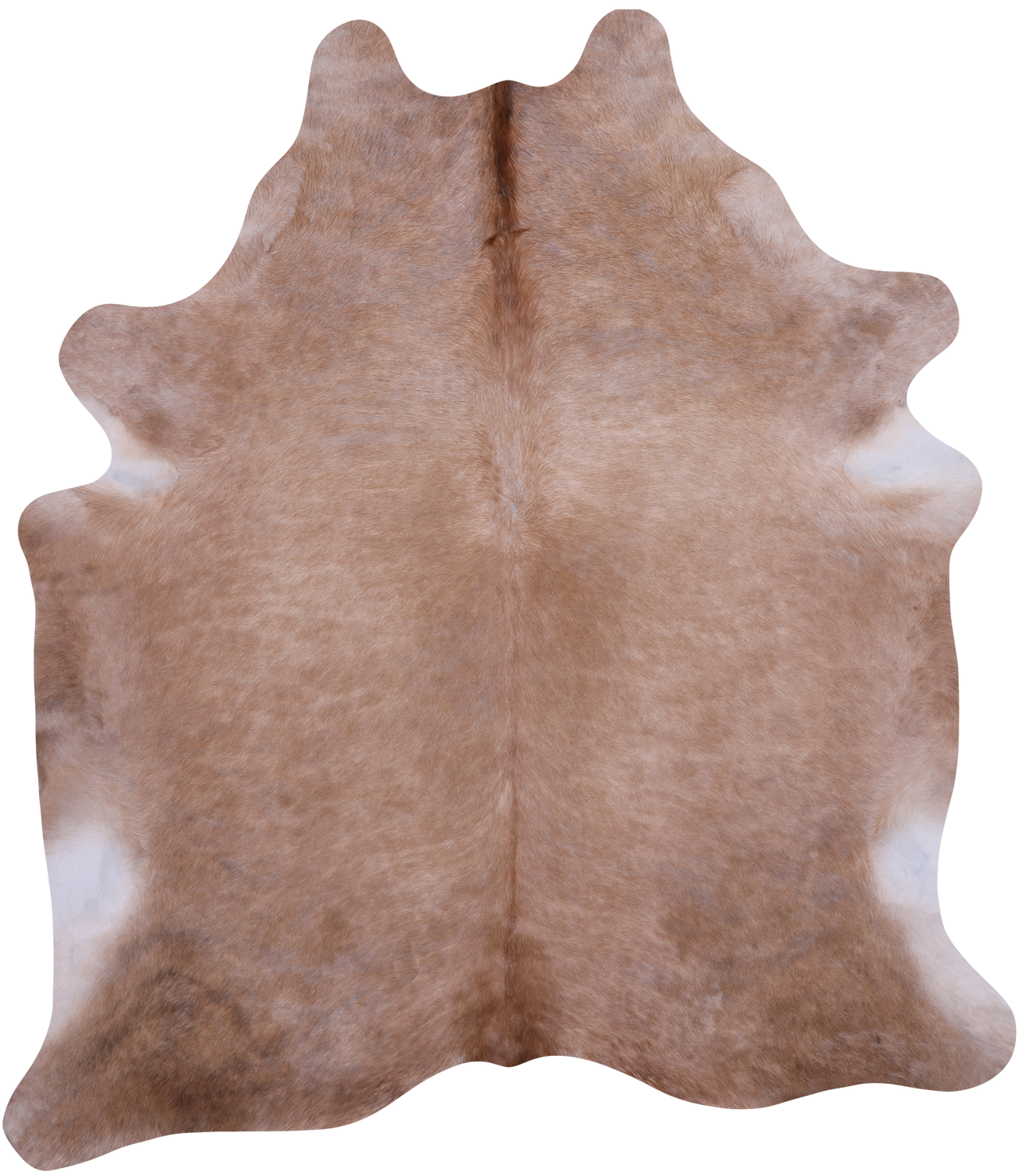 SUPER SALE Light Brown Natural Cowhide Rug - XX-Large 7' 10"H x 7' 0"W