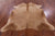 SUPER SALE Light Brown Natural Cowhide Rug - X-Large 6' 10"H x 6' 2"W
