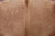 SUPER SALE Light Brown Natural Cowhide Rug - X-Large 6' 10"H x 6' 2"W