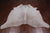 SUPER SALE Beige Natural Cowhide Rug - XX-Large 7' 8"H x 7' 0"W