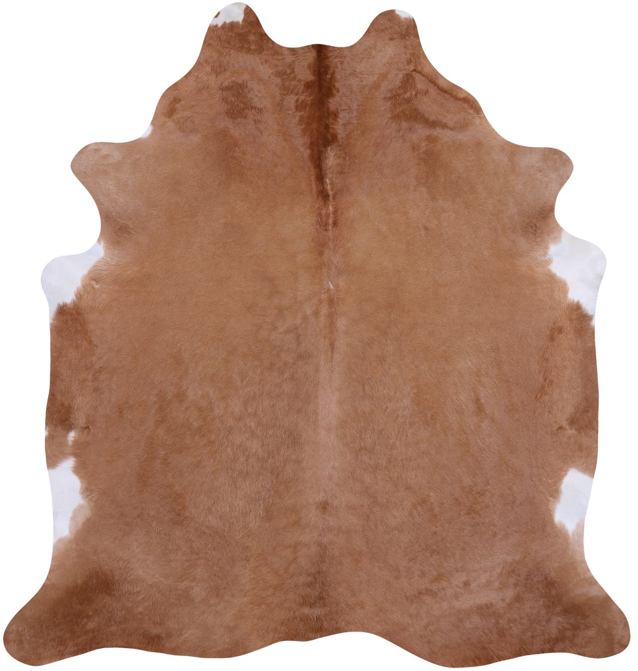 SUPER SALE Light Brown Natural Cowhide Rug - XX-Large 7' 6"H x 6' 10"W