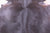 SUPER SALE Dark Brown Natural Cowhide Rug - XX-Large 7' 4"H x 6' 6"W