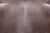 SUPER SALE Light Brown Natural Cowhide Rug - XX-Large 7' 8"H x 6' 6"W