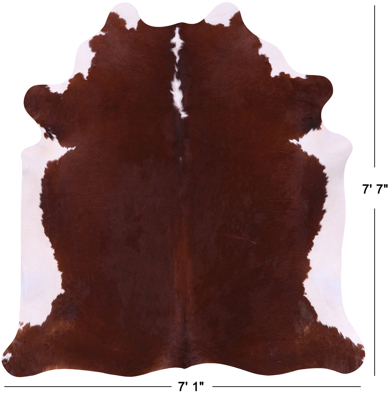 SUPER SALE Brown & White Natural Cowhide Rug - XX-Large 7' 7"H x 7' 1"W