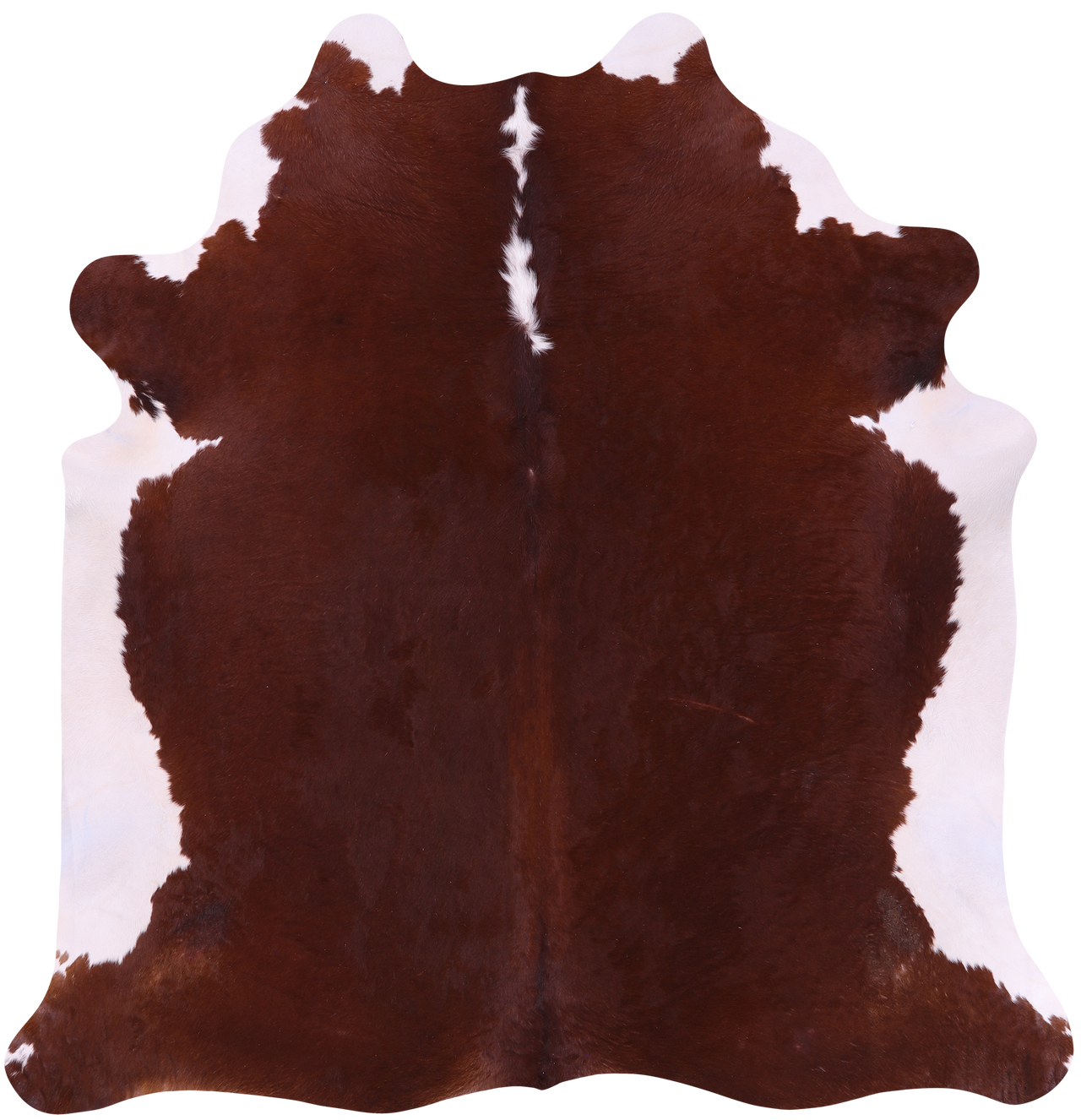 SUPER SALE Brown & White Natural Cowhide Rug - XX-Large 7' 7"H x 7' 1"W