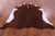 SUPER SALE Brown & White Natural Cowhide Rug - XX-Large 7' 7"H x 7' 1"W