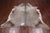 SUPER SALE Champagne Natural Cowhide Rug - XX-Large 7' 10"H x 6' 9"W