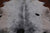 SUPER SALE Black Salt & Pepper Natural Cowhide Rug - XX-Large 7' 7"H x 7' 3"W
