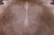 SUPER SALE Light Brown Natural Cowhide Rug - XX-Large 8' 0"H x 7' 0"W