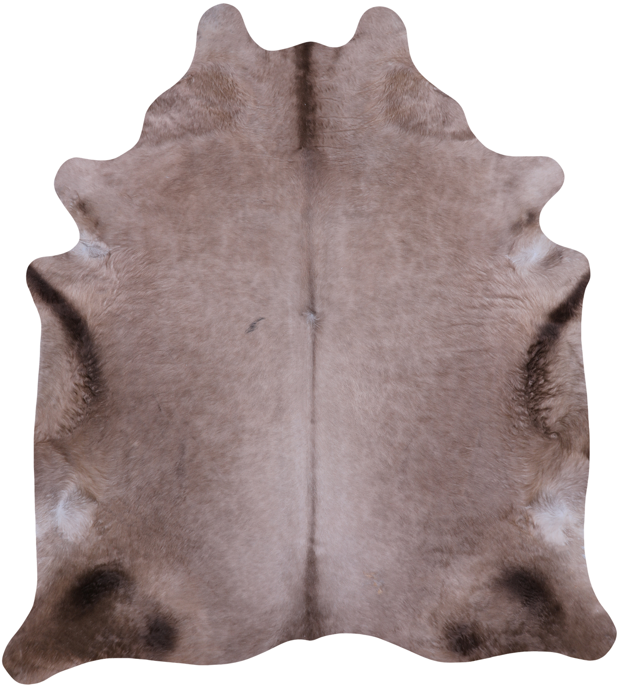 SUPER SALE Champagne Natural Cowhide Rug - XX-Large 8' 0"H x 7' 2"W
