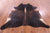 SUPER SALE Dark Brown Natural Cowhide Rug - XX-Large 7' 7"H x 6' 10"W