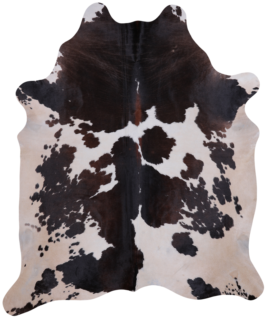 SUPER SALE Brown & White Natural Cowhide Rug - XX-Large 7' 6"H x 6' 3"W