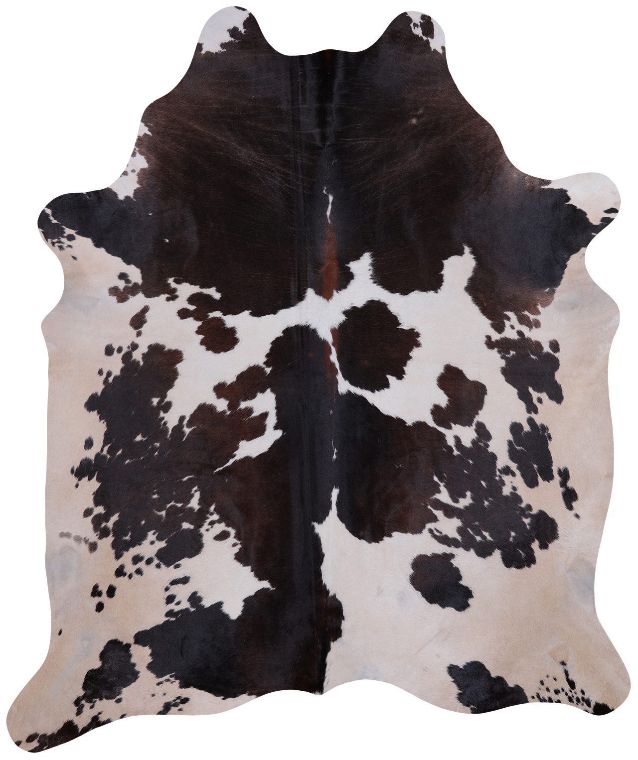 SUPER SALE Brown & White Natural Cowhide Rug - XX-Large 7' 6"H x 6' 3"W