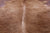 SUPER SALE Light Brown Natural Cowhide Rug - XX-Large 7' 4"H x 6' 6"W