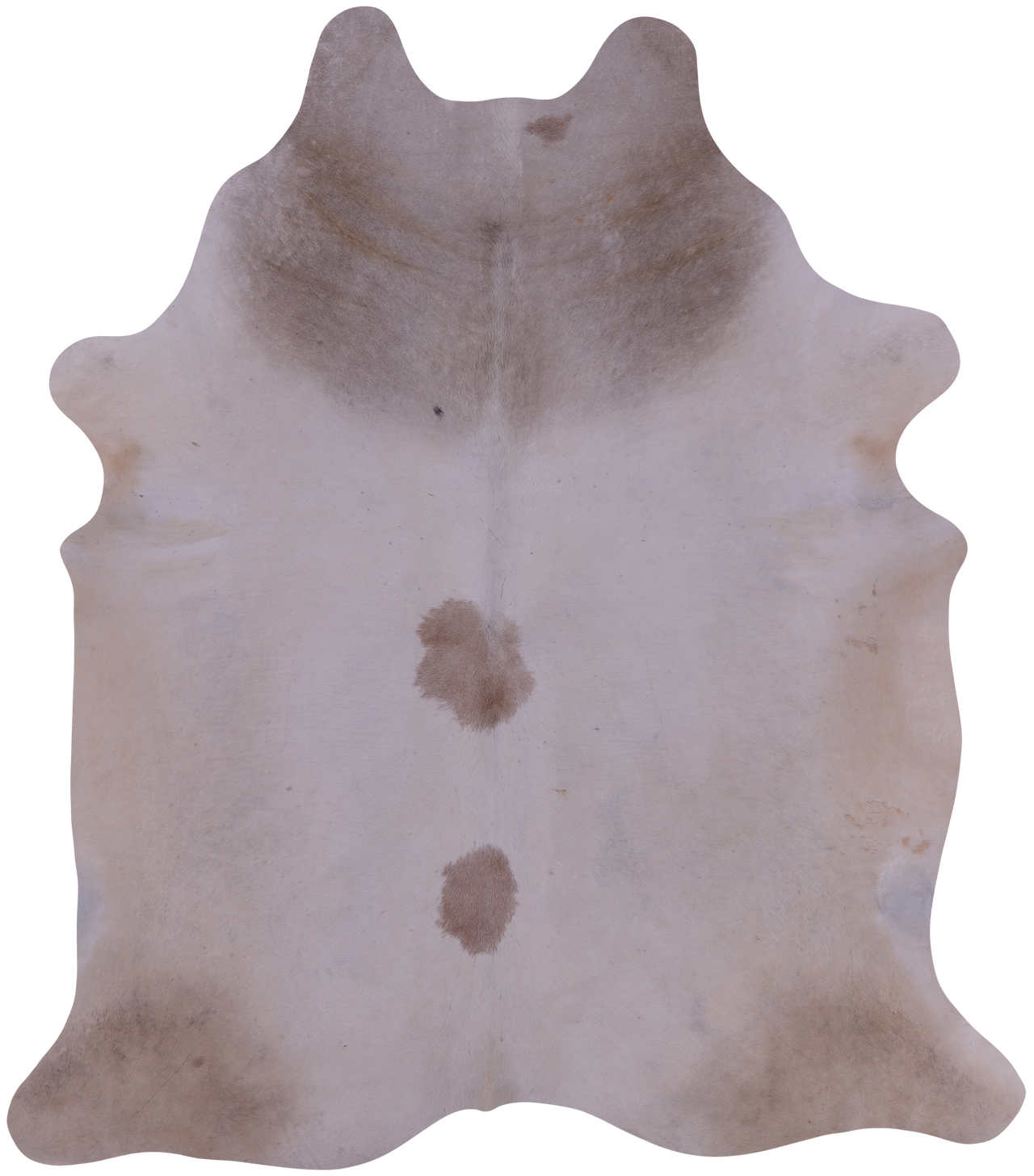SUPER SALE Beige Natural Cowhide Rug - XX-Large 7' 7"H x 6' 6"W