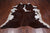 SUPER SALE Brown & White Natural Cowhide Rug - XX-Large 7' 6"H x 6' 6"W