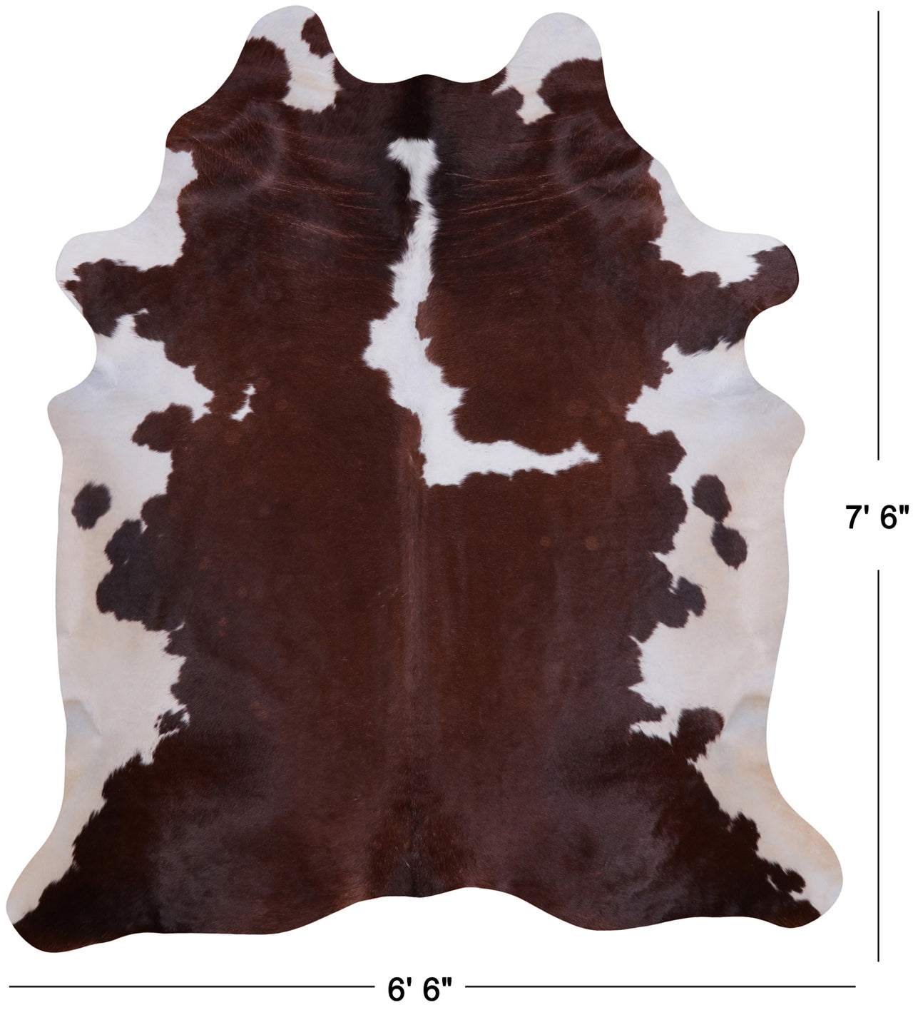 SUPER SALE Brown & White Natural Cowhide Rug - XX-Large 7' 6"H x 6' 6"W