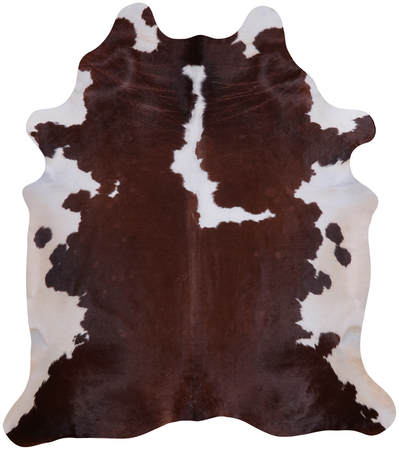 SUPER SALE Brown & White Natural Cowhide Rug - XX-Large 7' 6"H x 6' 6"W