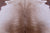 SUPER SALE Brown & White Natural Cowhide Rug - XX-Large 7' 6"H x 6' 4"W