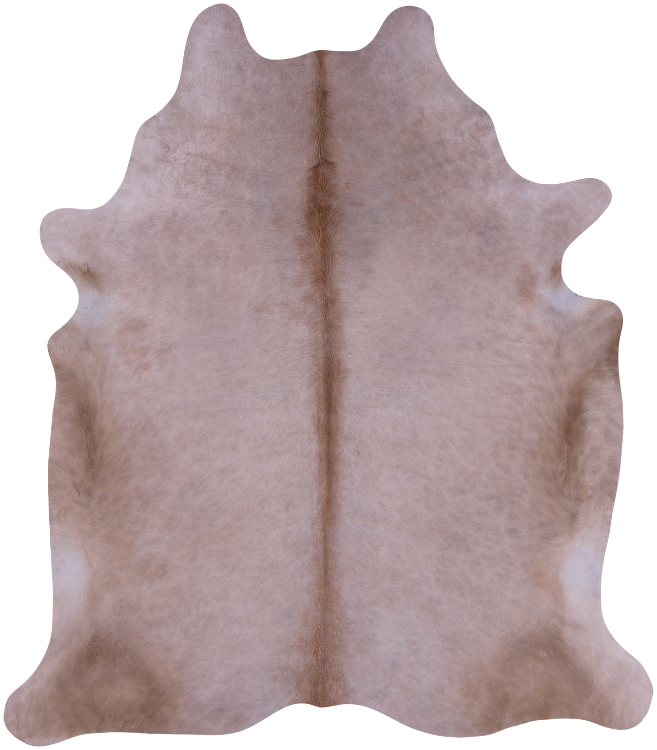 SUPER SALE Beige Natural Cowhide Rug - XX-Large 8' 0"H x 7' 0"W