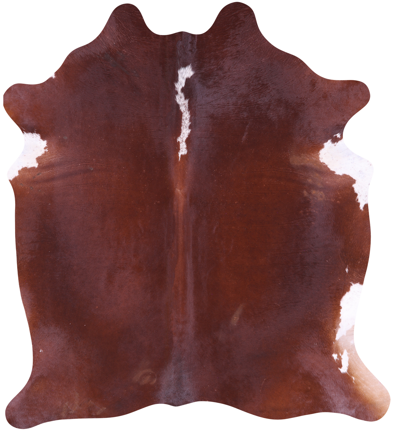 SUPER SALE Brown Natural Cowhide Rug - X-Large 7' 0"H x 6' 2"W