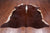 SUPER SALE Brown Natural Cowhide Rug - X-Large 7' 3"H x 6' 5"W