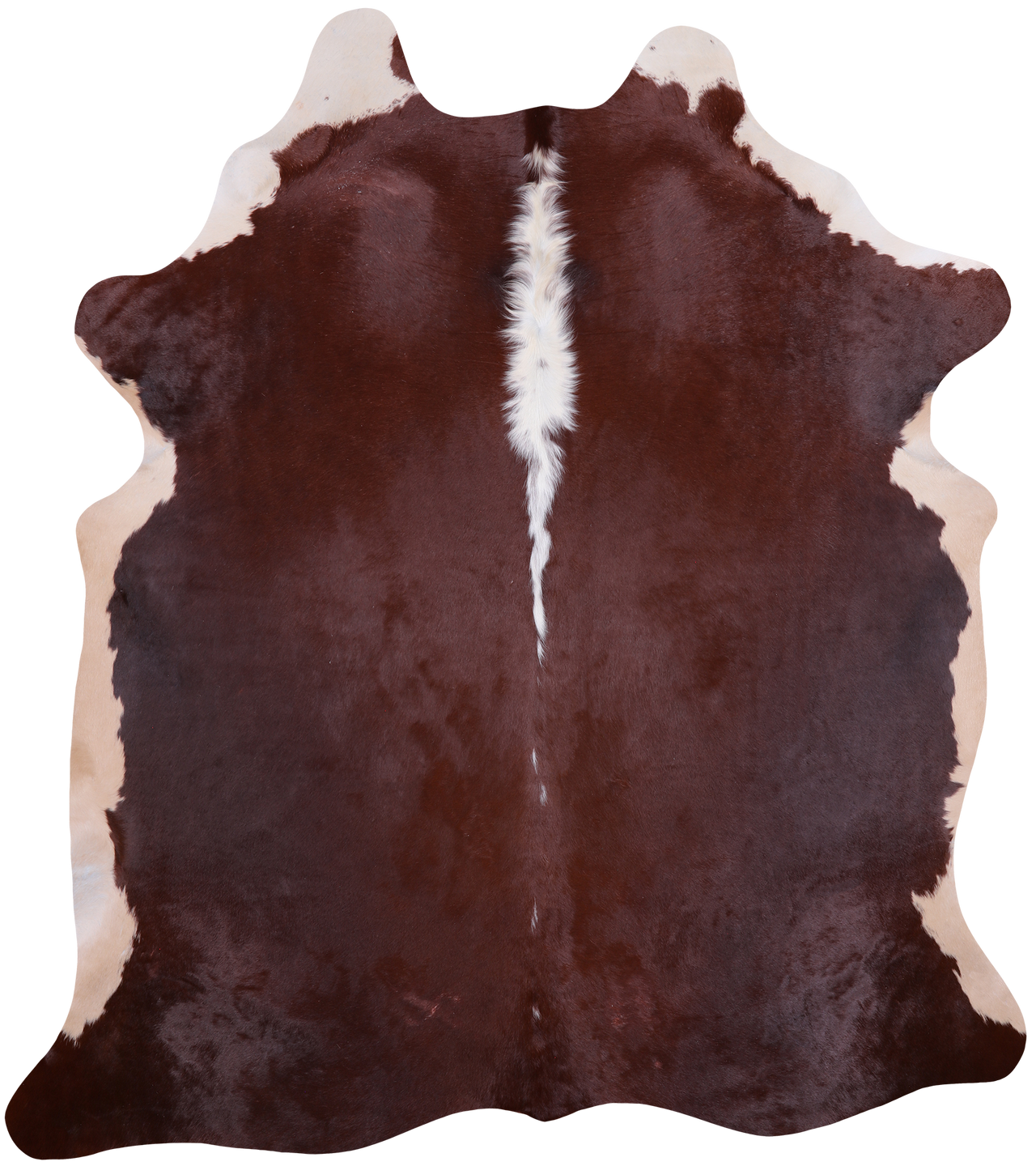 SUPER SALE Brown Natural Cowhide Rug - X-Large 7' 3"H x 6' 5"W