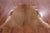 SUPER SALE Light Brown Natural Cowhide Rug - X-Large 7' 3"H x 6' 7"W
