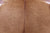 SUPER SALE Light Brown Natural Cowhide Rug - X-Large 7' 3"H x 6' 7"W