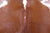 SUPER SALE Brown & White Natural Cowhide Rug - XX-Large 7' 10"H x 6' 3"W