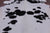 SUPER SALE Black & White Natural Cowhide Rug - XX-Large 7' 8"H x 6' 3"W