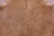 SUPER SALE Brown Natural Cowhide Rug - XX-Large 7' 8"H x 6' 9"W